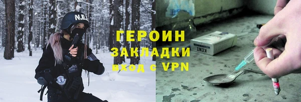 гидра Арсеньев