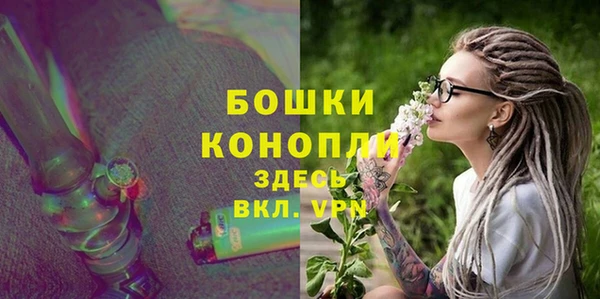 гидра Арсеньев