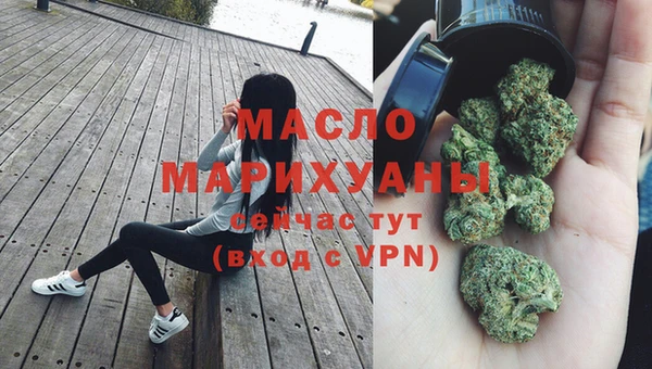 гидра Арсеньев