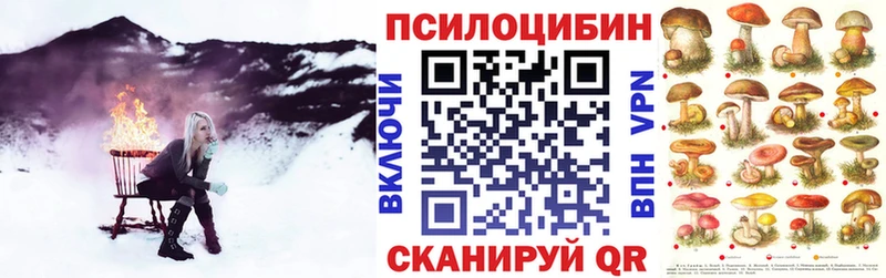 купить наркотики сайты  Дедовск  Галлюциногенные грибы Psilocybine cubensis 