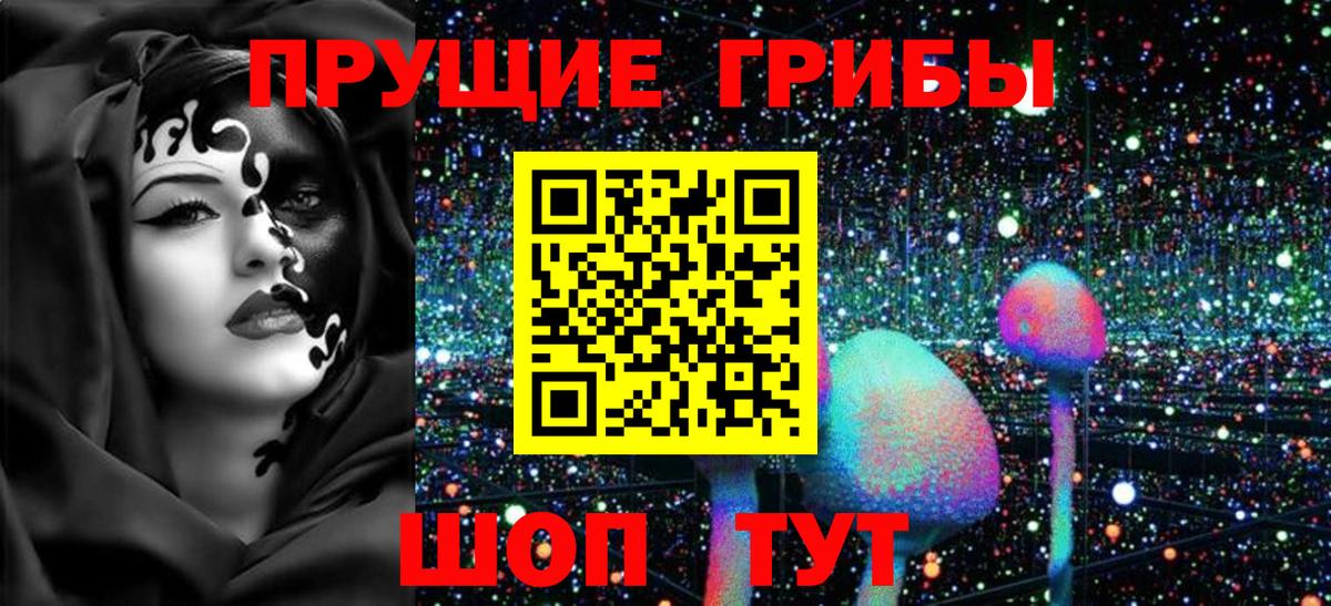 Галлюциногенные грибы Cubensis  наркота  Дедовск  Вход с VPN 